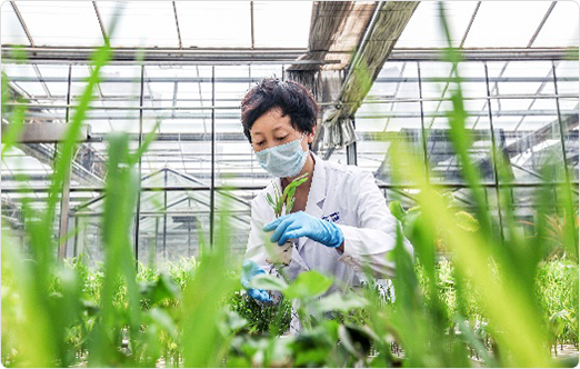 637000826520132146 Agrochemicals R&D